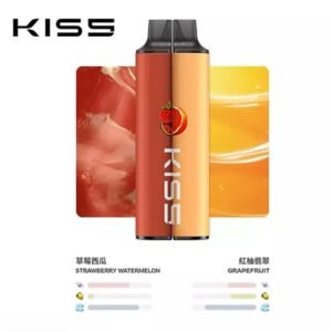 KIS5 6500 Puffs 一次性電子煙