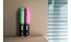 LANA拋棄式電子煙