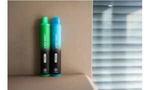 LANA拋棄式8000口電子煙