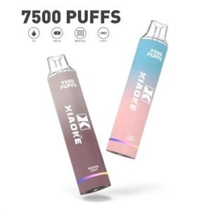 梟客一次性電子菸 台灣有現貨