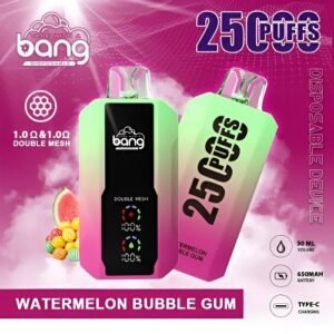 Bang 25000 Puffs 拋棄式電子煙