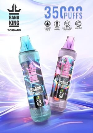 Bang King 一次性電子煙 現貨批發